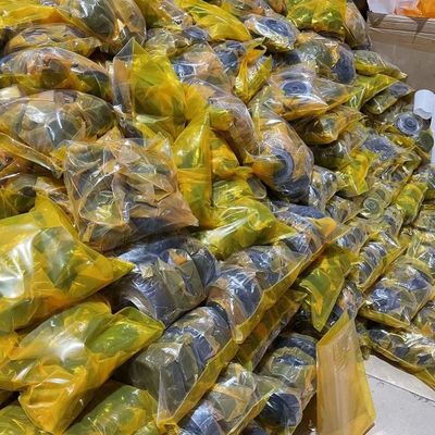 Purple Horn ανταλλακτικά εκσκαφέας Μαξιλάρι κινητήρα για Caterpillar E320B S6K